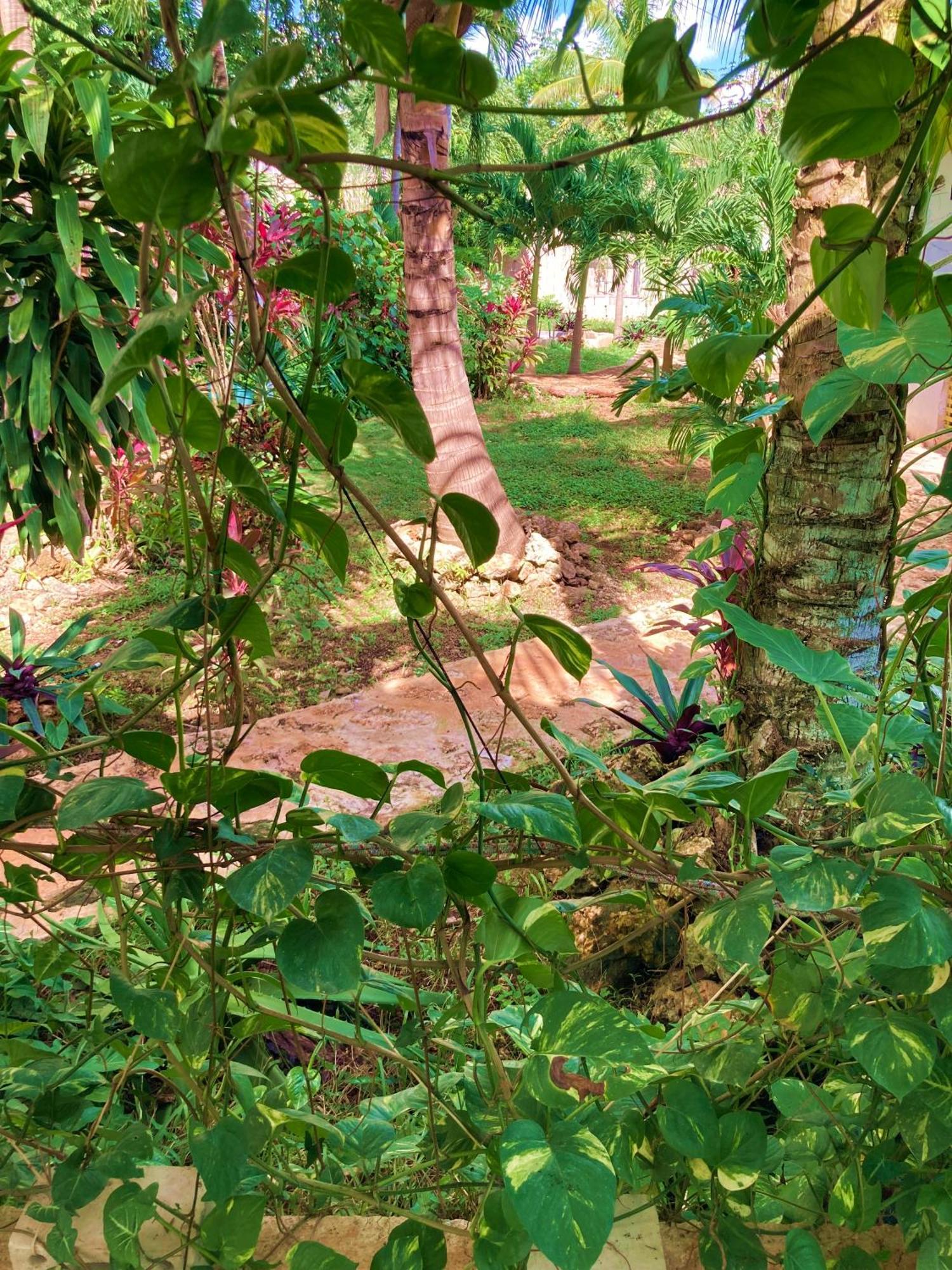 Green Paradise Леона-Викарио Экстерьер фото